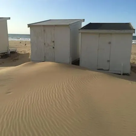 Vue Sur Dunes ! Lägenhet